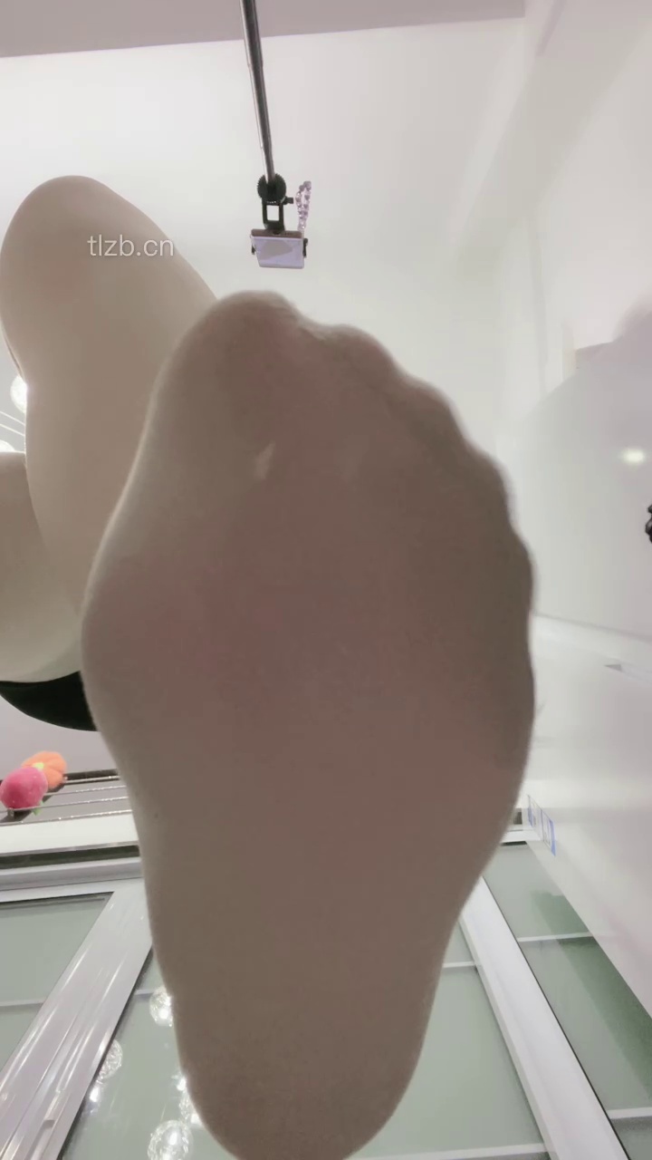 柠檬小主 (10)